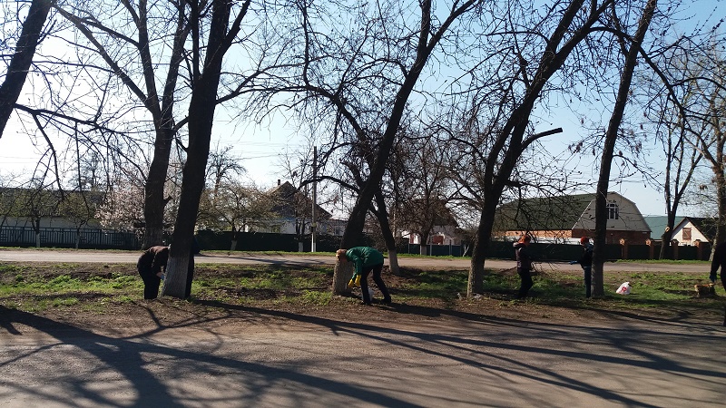 19 04 19 04