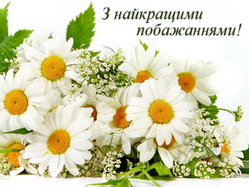 ddb3b0d082d0a27cf282967034ca3ef6