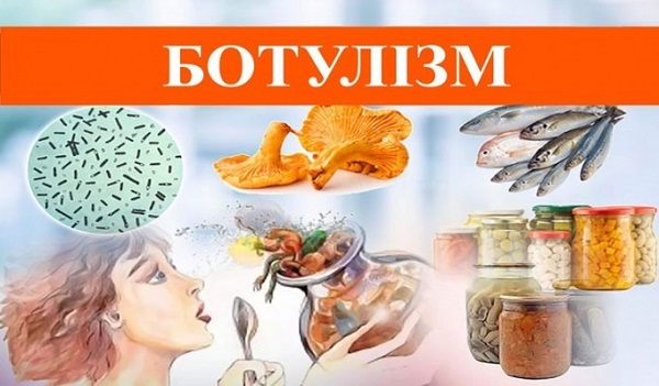 1b8257f077c49fb9a0e475b0e1bc0015 h398