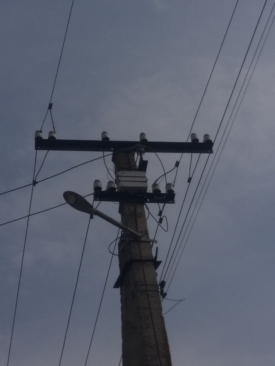 photo 5408875753392694653 y