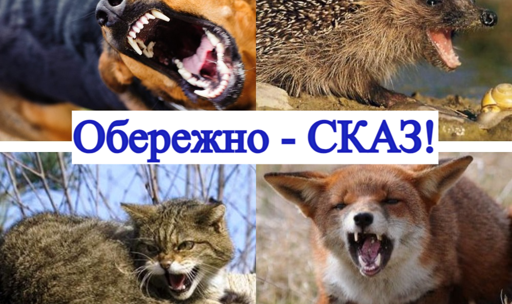 ОБЕРЕЖНО СКАЗ!!!