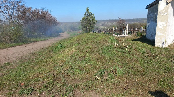 photo 5202052165894533430 y