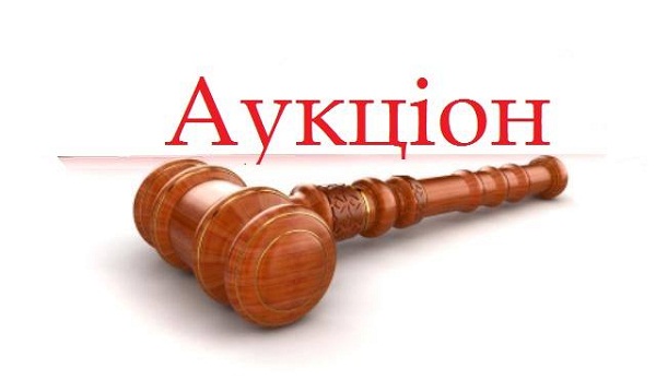 auktsion1