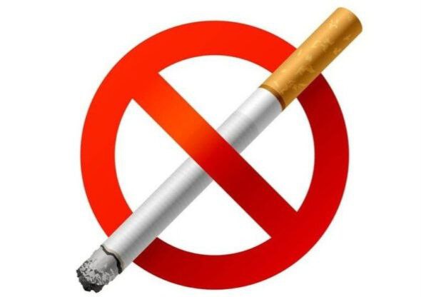 img 20240319 172136 686