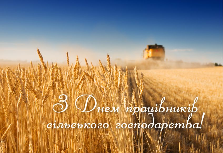 482009222 938896555091024 1134498411135387238 n